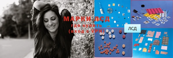 гашик Алексин