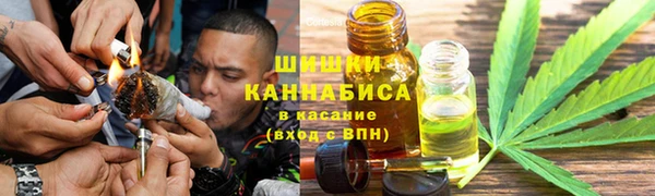 гашик Алексин